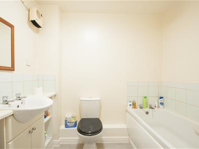 Picture 7